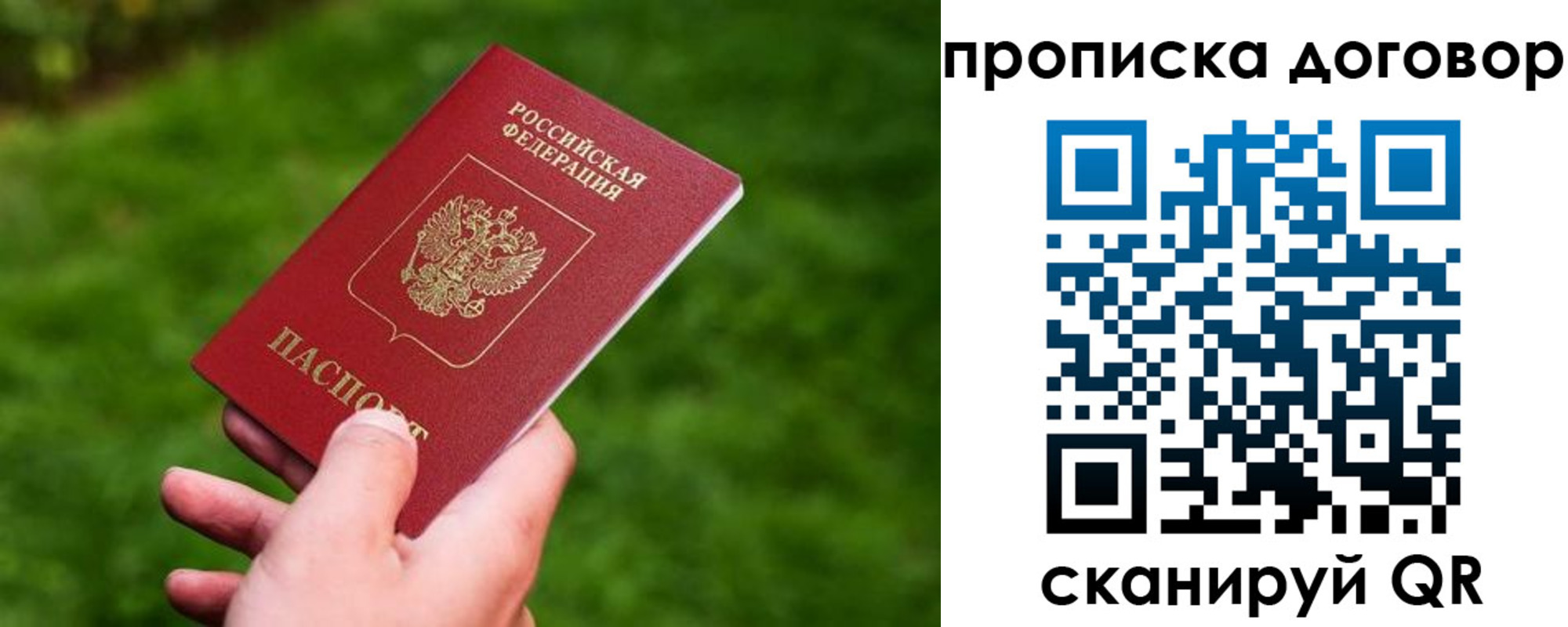 прописка гарантия в Клинцах